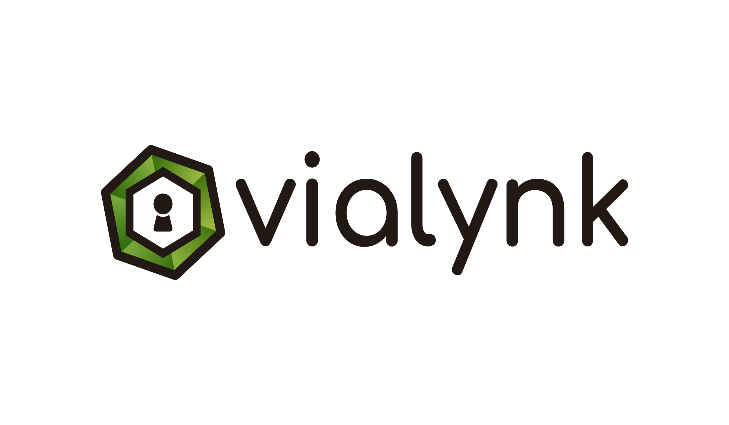 LOGO VIALYNK WEB
